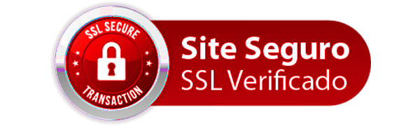 imagem de site blindado seguro com SSL